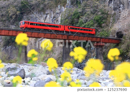 【大分縣】火車與岩門的風景 【大分縣】火車與岩門的風景 125237690