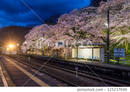 Cherry blossom illumination at Maiki Station in Koriyama, Fukushima Prefecture 125237699