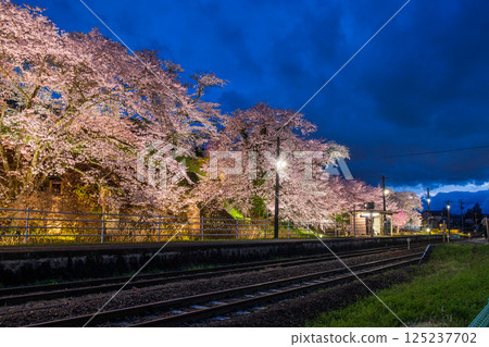 福島縣郡山市舞木站的櫻花燈飾 福島縣郡山市舞木站的櫻花燈飾 125237702
