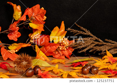 Autumn background material 125237751