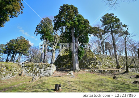 Yamato Province, Nara "Takatori Castle" - High stone walls of the main citadel and blue sky Yamato Province, Nara "Takatori Castle" - High stone walls of the main citadel and blue sky 125237880