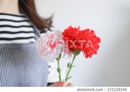 Carnation Mother's Day Carnation Mother's Day 125238346