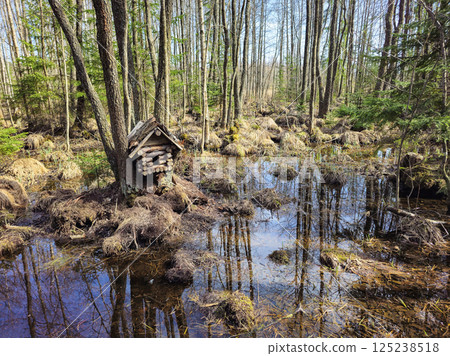 Small wooden birdhouse, forest a spring flood Small wooden birdhouse, forest a spring flood 125238518