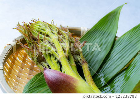 [Taste of Spring] The king of wild vegetables, tarana (spicy cod sprouts) [Nagano Prefecture] 125238798