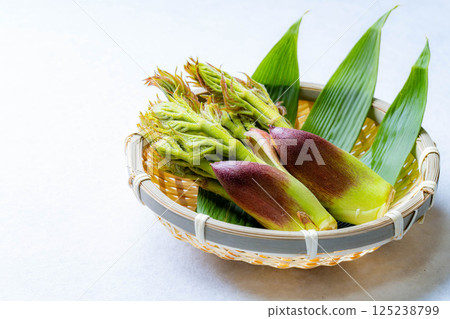 [春天的味道] 山菜之王，塔拉納（辣鱈魚芽）[長野縣] 125238799
