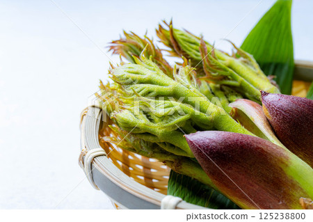 [春天的味道] 山菜之王，塔拉納（辣鱈魚芽）[長野縣] 125238800