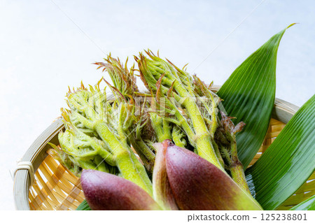 [春天的味道] 山菜之王，塔拉納（辣鱈魚芽）[長野縣] 125238801