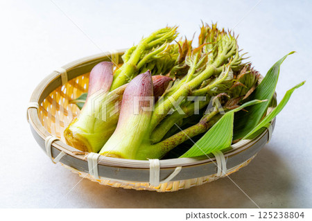 [春天的味道] 山菜之王，塔拉納（辣鱈魚芽）[長野縣] 125238804
