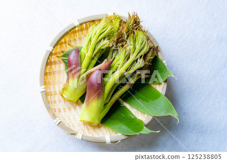 [春天的味道] 山菜之王，塔拉納（辣鱈魚芽）[長野縣] 125238805