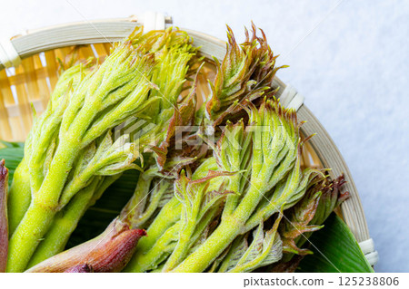 [春天的味道] 山菜之王，塔拉納（辣鱈魚芽）[長野縣] 125238806