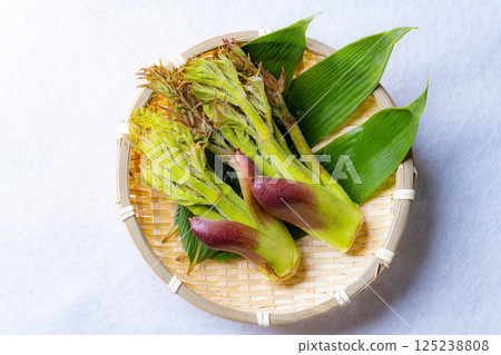 [春天的味道] 山菜之王，塔拉納（辣鱈魚芽）[長野縣] 125238808