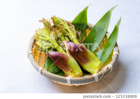 [春天的味道] 山菜之王，塔拉納（辣鱈魚芽）[長野縣] 125238809