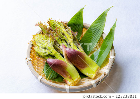 [春天的味道] 山菜之王，塔拉納（辣鱈魚芽）[長野縣] 125238811