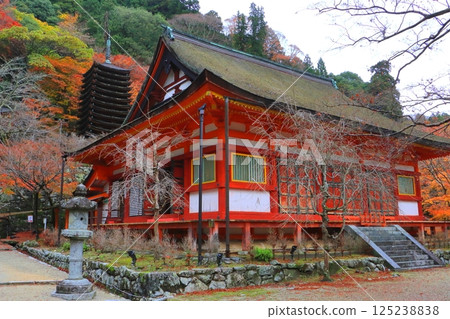 秋天的談山神社(奈良縣櫻井市參拜堂十三層塔) 秋天的談山神社(奈良縣櫻井市參拜堂十三層塔) 125238838