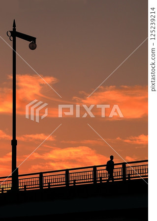 Street lamp on a bridge during magic hour Street lamp on a bridge during magic hour 125239214