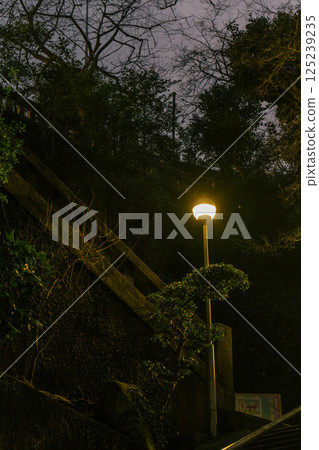 Green illuminated by street lights 125239235