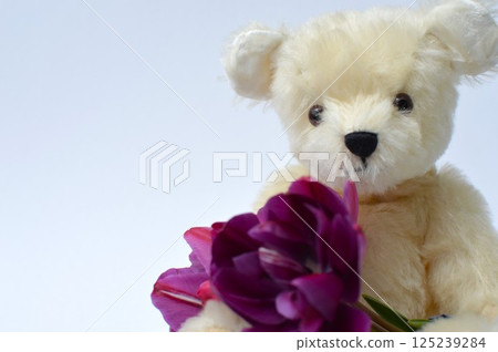 Purple tulips bouquet and white teddy bear Purple tulips bouquet and white teddy bear 125239284