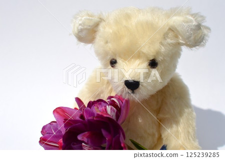 紫色鬱金香花束和白色泰迪熊 紫色鬱金香花束和白色泰迪熊 125239285