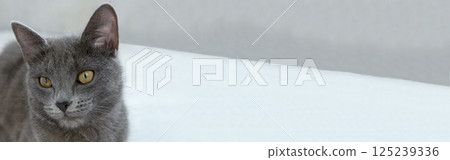 banner 125239336