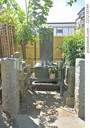 佐野散步：栃木縣佐野市天台宗總宗寺佐野藥代大師 125239744