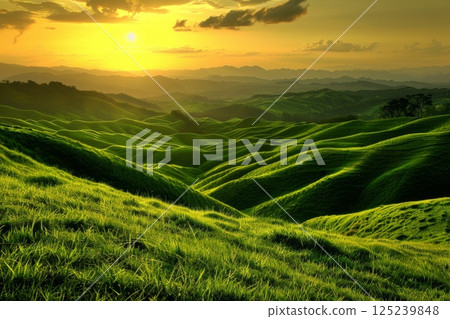 A beautiful green field with a sun setting in the background 125239848