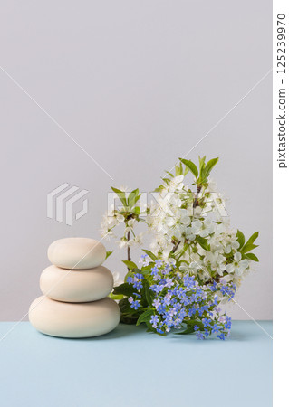 Wood slice podium with spring flowers branches of cherry blossoms and blue brunnera sibirica. Concept scene stage showcase for new product, banner, promotion sale, cosmetic, presentation 125239970