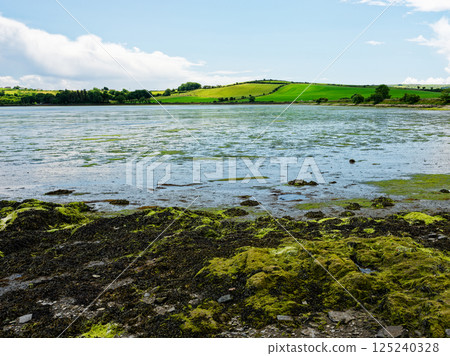 Scenic view of Inchydoney Island showcasing lush green landscape and calm waters under a bright sky. 125240328