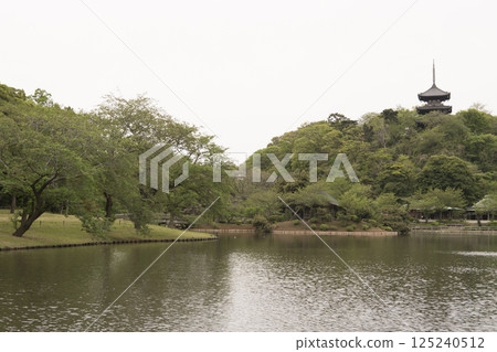 Spring at Sankeien Garden in Yokohama 125240512