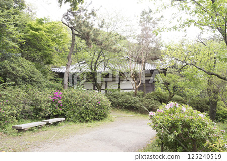 橫濱三溪園的春天 橫濱三溪園的春天 125240519