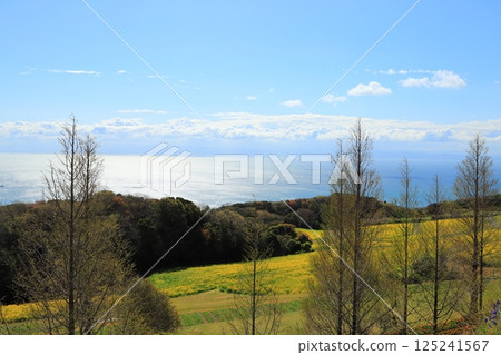 Awaji Hanasagiki Awaji Hanasagiki 125241567
