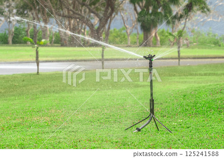 Garden spike for irrigation and irrigation. A green manicured lawn. 125241588