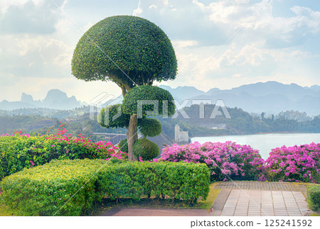 The Boho Tree, a symbol of Buddhism with a beautiful round crown on the observation deck near the Dam in Kaosok Park in Thailand, against the backdrop of Cheo Lan Lake and mountains during the day, a 125241592