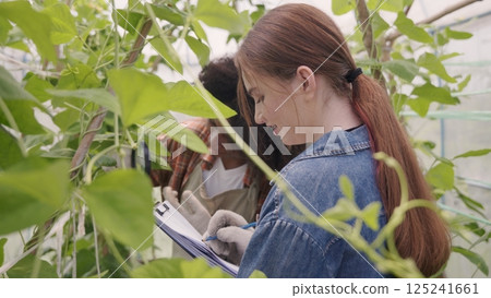 Happy children farmer hands holding magnifying glass and looking at vegetables in hydroponics farm, Biotechnology kid examining plant leaf, agriculture school learning research for science concept Happy children farmer hands holding magnifying glass and looking at vegetables in hydroponics farm, Biotechnology kid examining plant leaf, agriculture school learning research for science concept 125241661