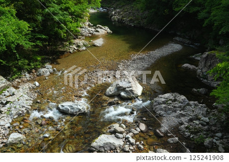 Omotehikimi Gorge in early summer, flowing through a lush green valley - Ver2 125241908