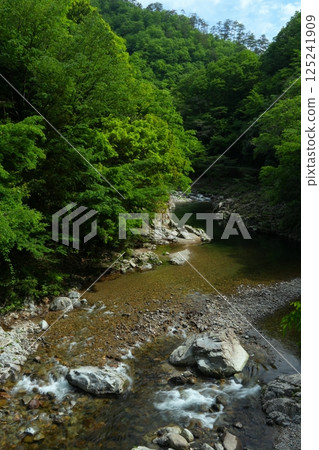 Omotehikimi Gorge in early summer, flowing through a deep green valley - Ver1 125241909