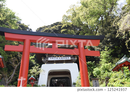 Enoshima: Vermilion Torii Gate Enoshima: Vermilion Torii Gate 125241937