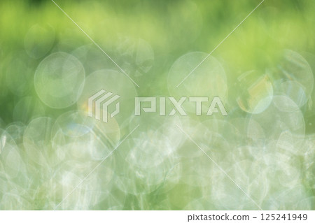 Sparkling image of fresh greenery in the park 125241949