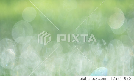 Sparkling image of fresh greenery in the park Sparkling image of fresh greenery in the park 125241950