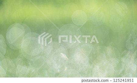 Sparkling image of fresh greenery in the park Sparkling image of fresh greenery in the park 125241951