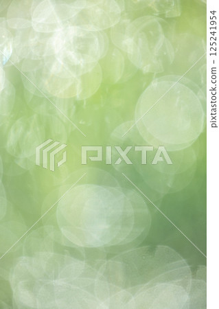 Sparkling image of fresh greenery in the park Sparkling image of fresh greenery in the park 125241954
