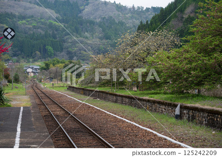 Beautiful spring scenery at Iwayama Station in Niimi city, Okayama prefecture, Japan Beautiful spring scenery at Iwayama Station in Niimi city, Okayama prefecture, Japan 125242209