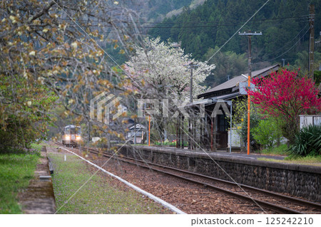 Beautiful spring scenery at Iwayama Station in Niimi city, Okayama prefecture, Japan Beautiful spring scenery at Iwayama Station in Niimi city, Okayama prefecture, Japan 125242210