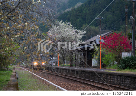 Beautiful spring scenery at Iwayama Station in Niimi city, Okayama prefecture, Japan Beautiful spring scenery at Iwayama Station in Niimi city, Okayama prefecture, Japan 125242211