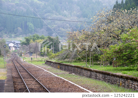 日本岡山縣新見市岩山站美麗的春天景色 125242221