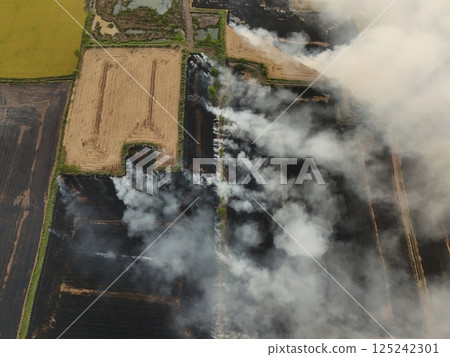 field, fire, smoke 125242301