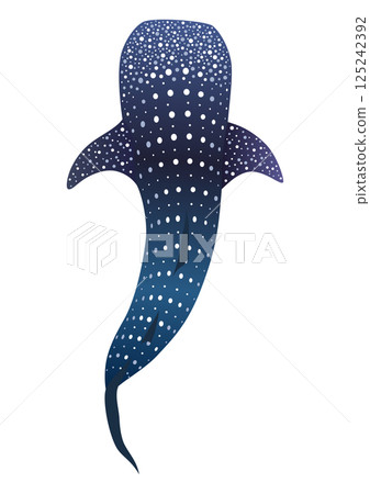 Whale shark 125242392