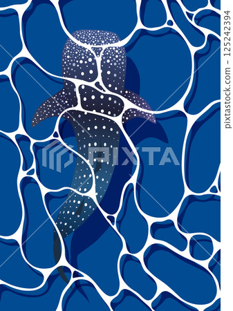 Whale shark 125242394