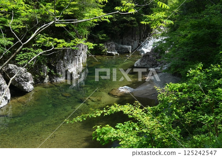 The mountain stream of Omotehikimi Gorge flowing through the deep greenery Ver3 125242547