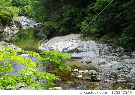 The mountain stream of Omotehikimi Gorge flowing through the deep greenery Ver1 The mountain stream of Omotehikimi Gorge flowing through the deep greenery Ver1 125242549