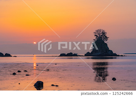 (Toyama Prefecture) Amaharashi Coast, Onnaiwa Rock, Sunrise over the Tateyama Mountain Range 125242666